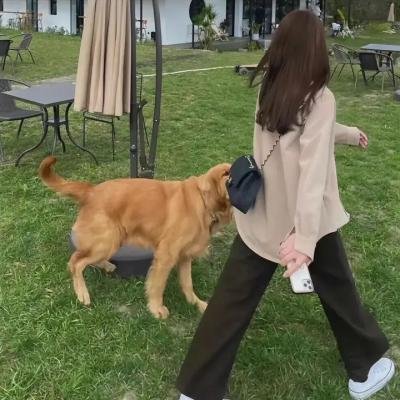 似人非人